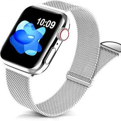 Stainless Steel Magnetic Metal Watch Bands